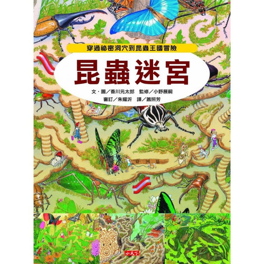 小天下 知識大迷宮系列-昆蟲迷宮