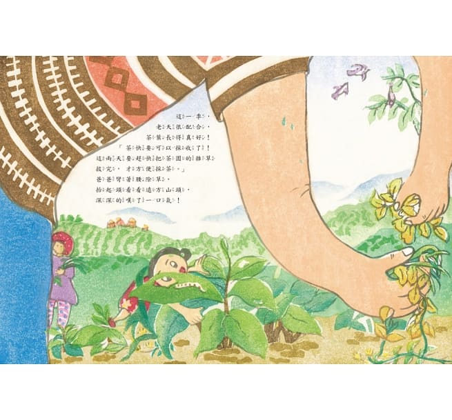 小魯 傳統文化產業四季走讀繪本系列-爸爸的友善茶園