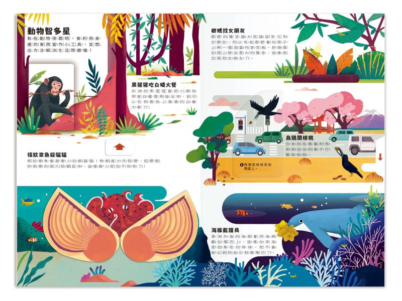禾流 小小知識家動手大發現系列-動物AMAZING!