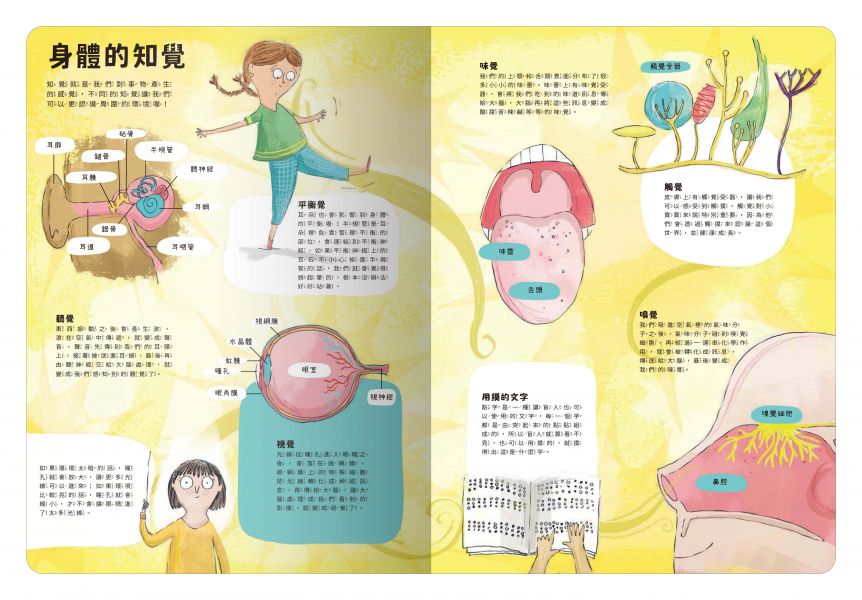 禾流 出發!探索之旅!系列-大書陪我看身體