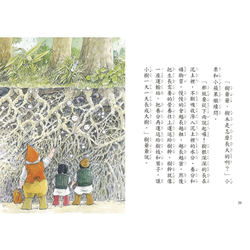 信誼 好好讀小學堂系列-早安森林-2-大樹的祕密