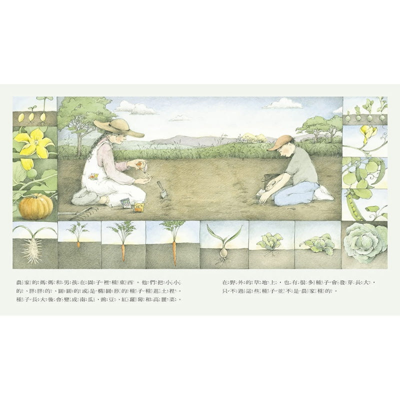 上誼 野地上的花園