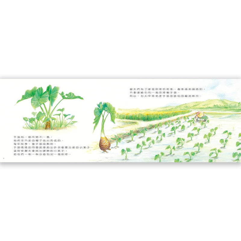 信誼 好難養的芋頭