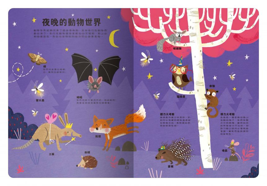 禾流 出發!探索之旅!系列-大書陪我看動物
