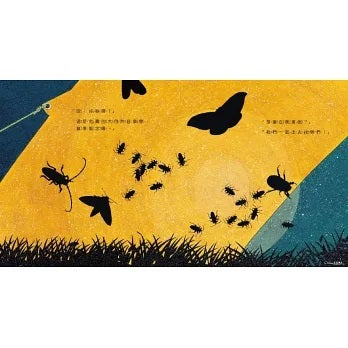 親子天下 夜間觀察:一趟夜訪大自然的父子散步