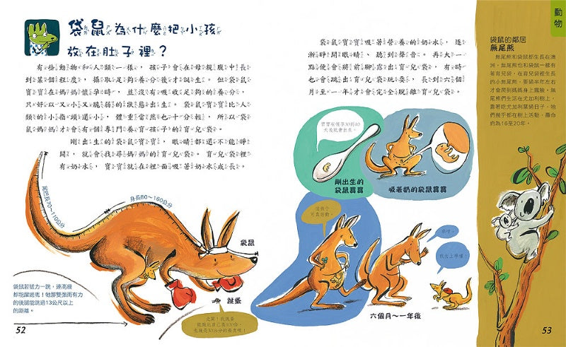 風車 兒童好奇心大百科