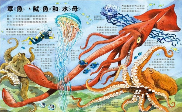 小天下 我的第一本驚奇系列-我的第一本海洋生物大驚奇