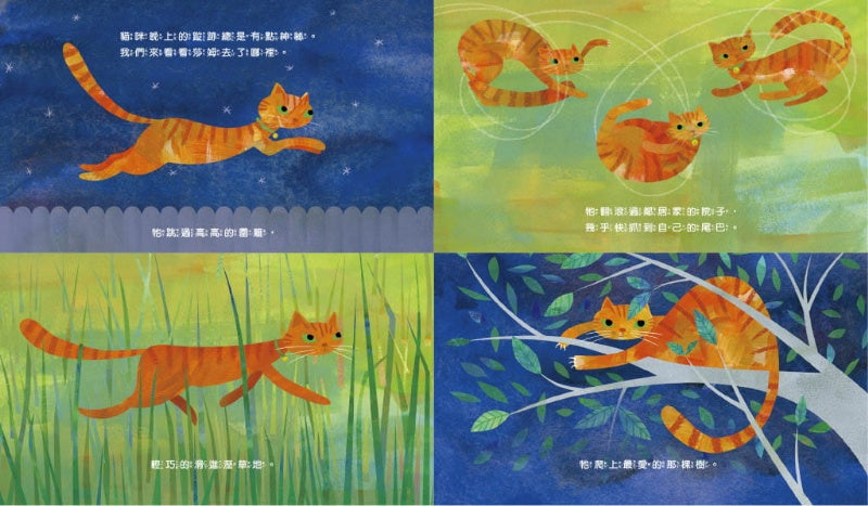 親子天下 地圖喵-啟蒙孩子的圖像思維 (美國馬里蘭藍蟹童書獎)