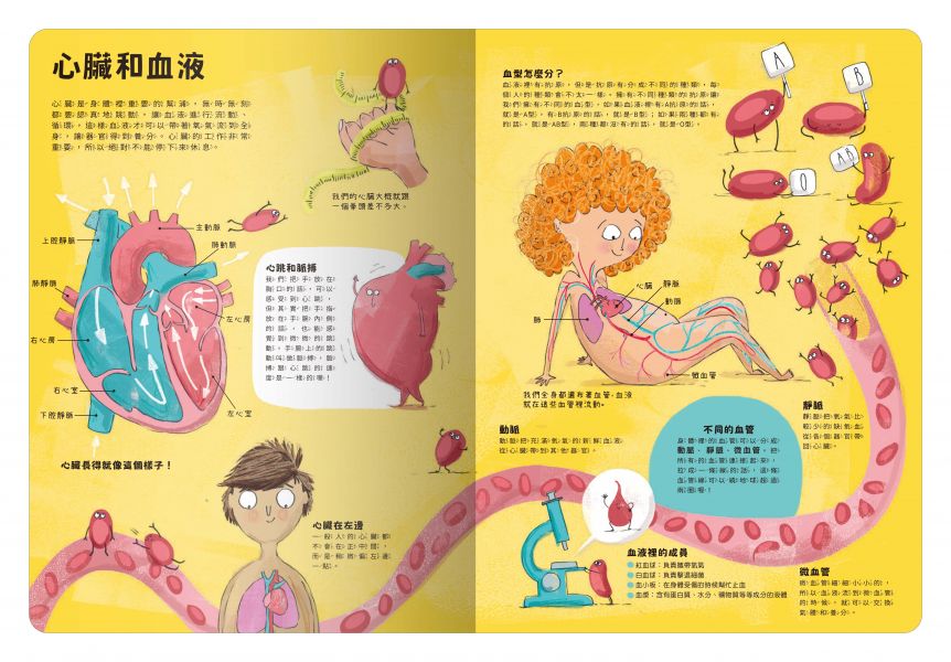禾流 出發!探索之旅!系列-大書陪我看身體
