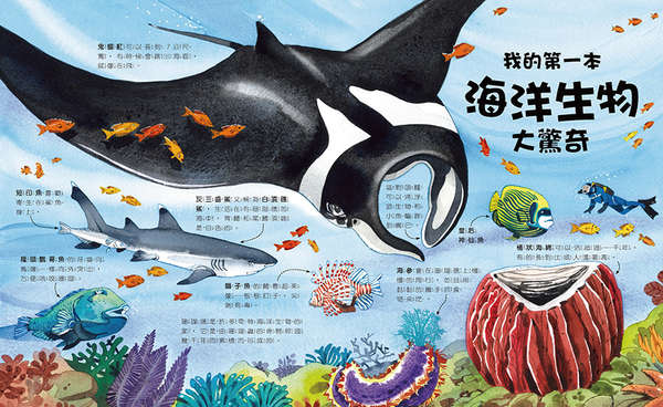 小天下 我的第一本驚奇系列-我的第一本海洋生物大驚奇