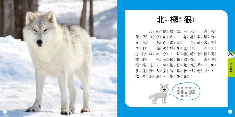 双美 圖鑑系列-STEAM圖鑑小百科-動物