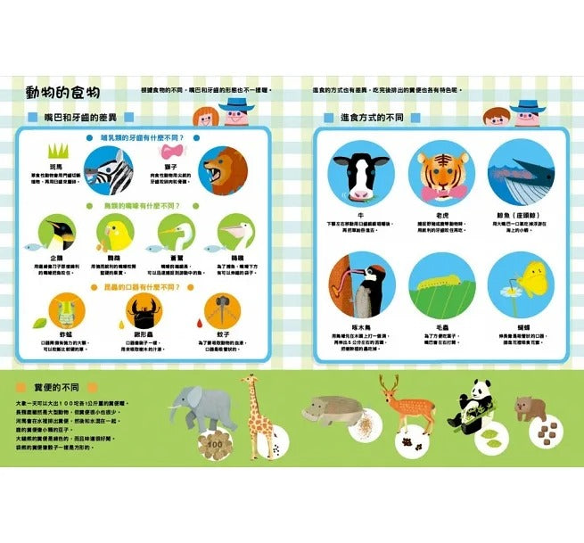 小魯 生命探索繪本集:原來人體、動物是這樣子啊!
