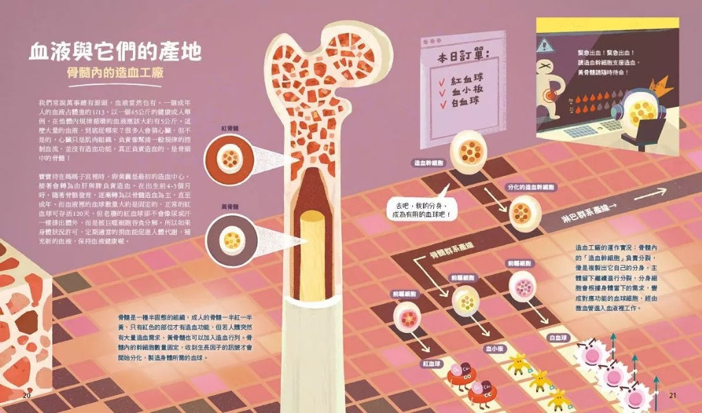 親子天下 小大人的血液課