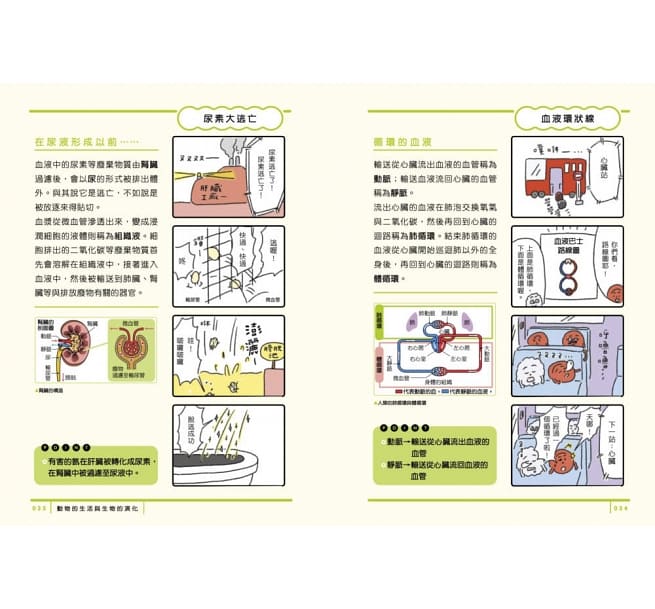 親子天下 最有梗的理科教室:燒杯君與他的理科小夥伴