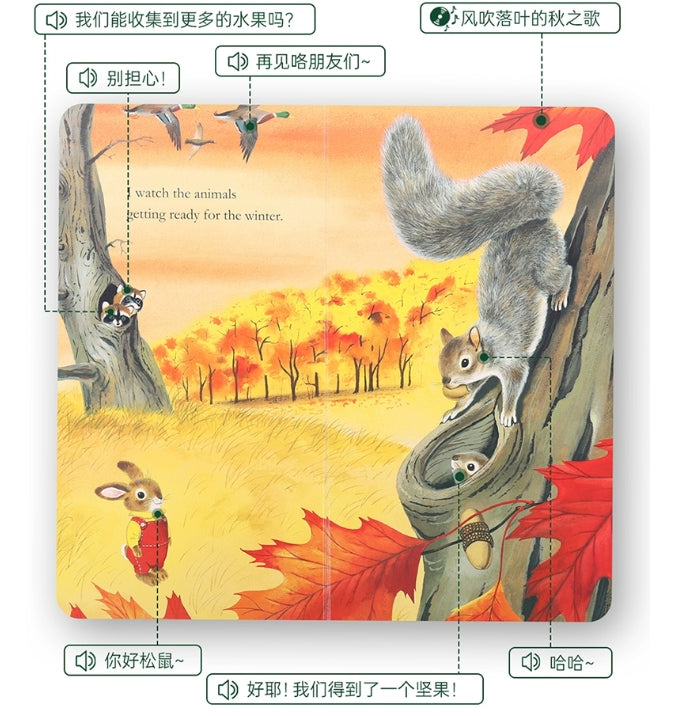 毛毛蟲筆 I am a bunny 我是一隻兔子 暢銷半世紀 全球銷量超過3億
