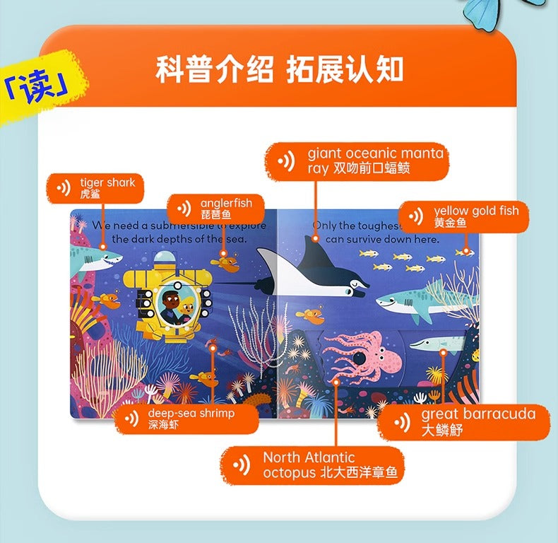 毛毛蟲筆 Little world 小小世界啟蒙認知翻翻書 (4册) 盒装 英文原版