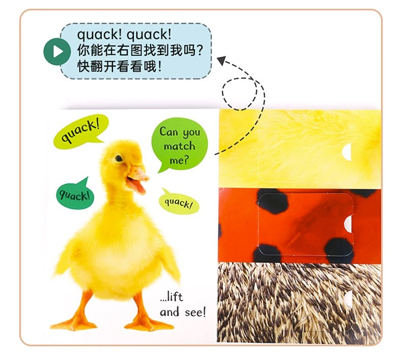 毛毛蟲筆 My First Matching Book 我的第一套配對書 2册 英國進口