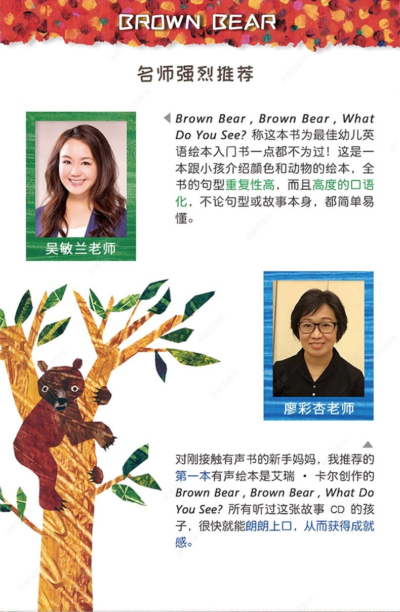 毛毛蟲筆 Brown Bear Collection 艾瑞·卡爾棕熊四册盒装 廖彩杏 吳敏蘭書單