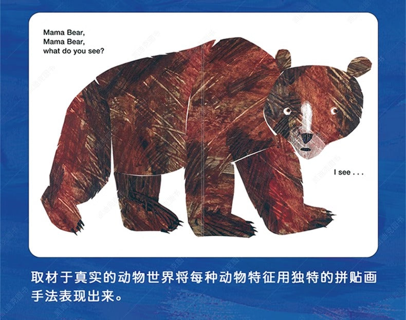 毛毛蟲筆 Brown Bear Collection 艾瑞·卡爾棕熊四册盒装 廖彩杏 吳敏蘭書單
