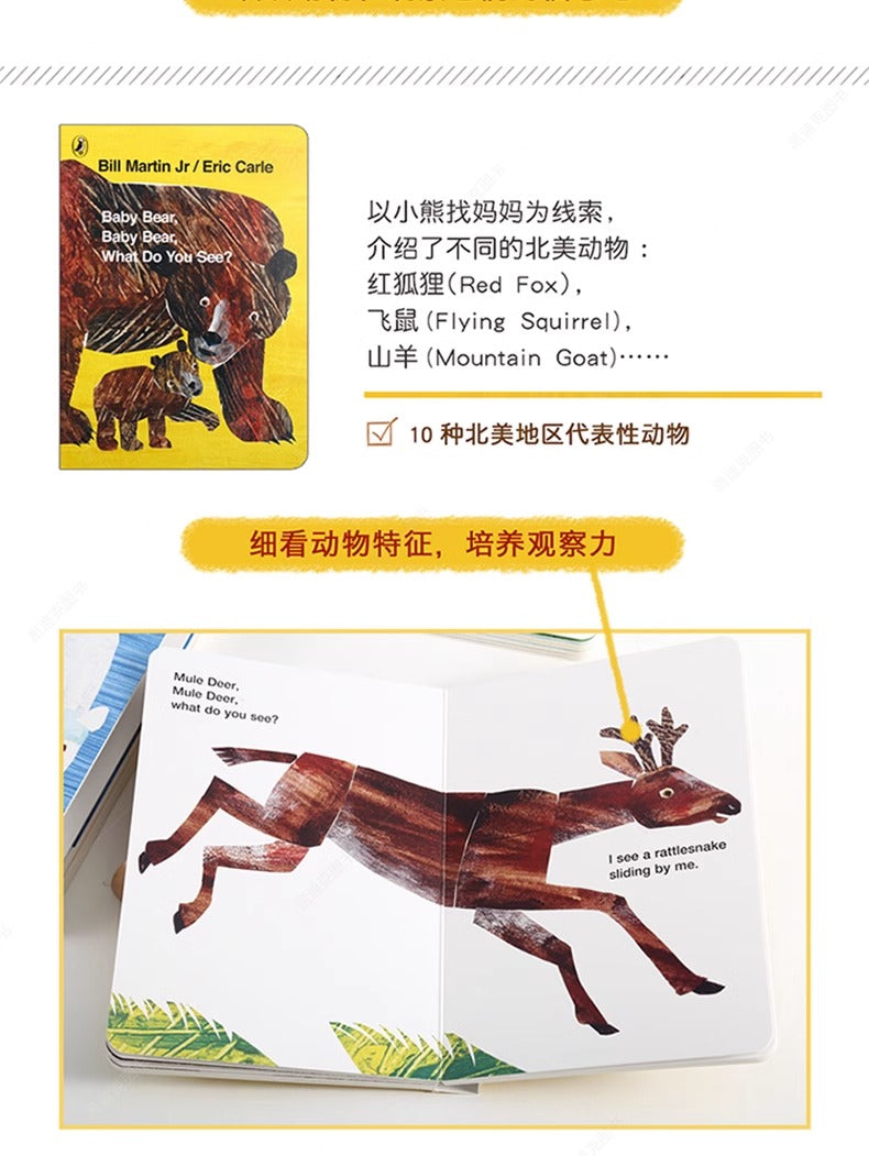 毛毛蟲筆 Brown Bear Collection 艾瑞·卡爾棕熊四册盒装 廖彩杏 吳敏蘭書單