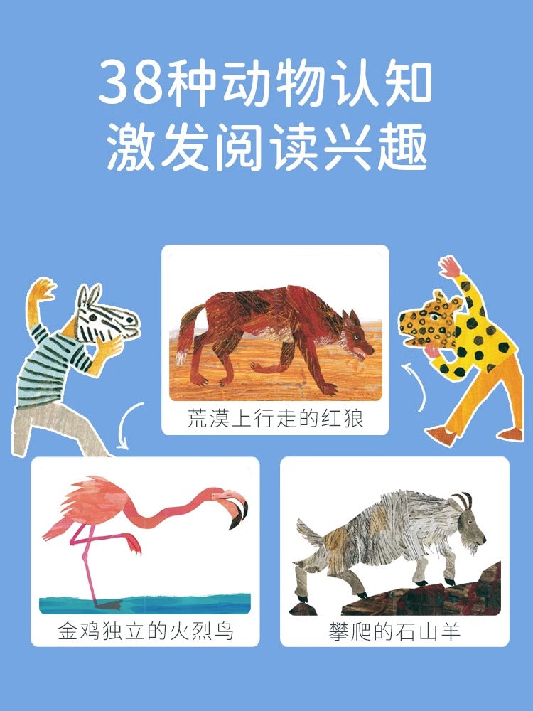 毛毛蟲筆 Brown Bear Collection 艾瑞·卡爾棕熊四册盒装 廖彩杏 吳敏蘭書單