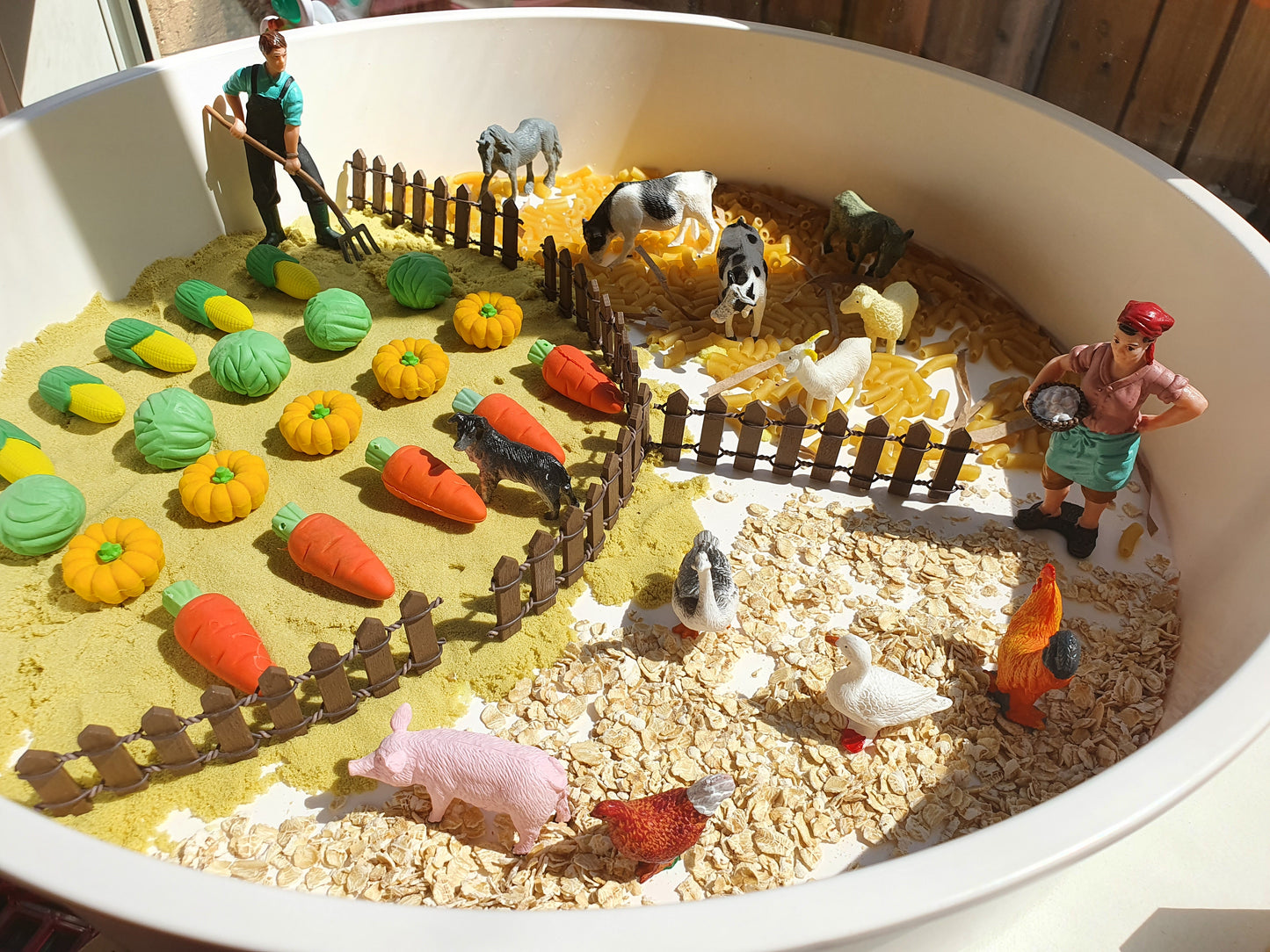 (現貨)Sensory Play Kit