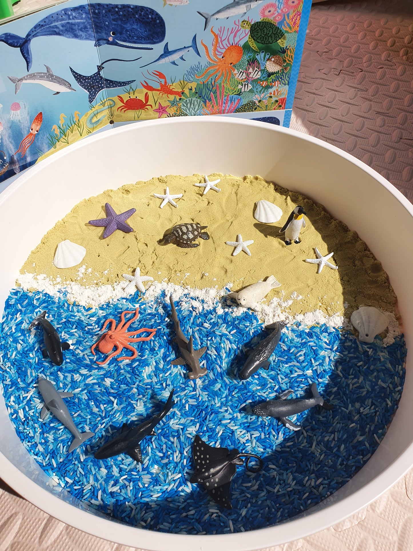 (現貨)Sensory Play Kit