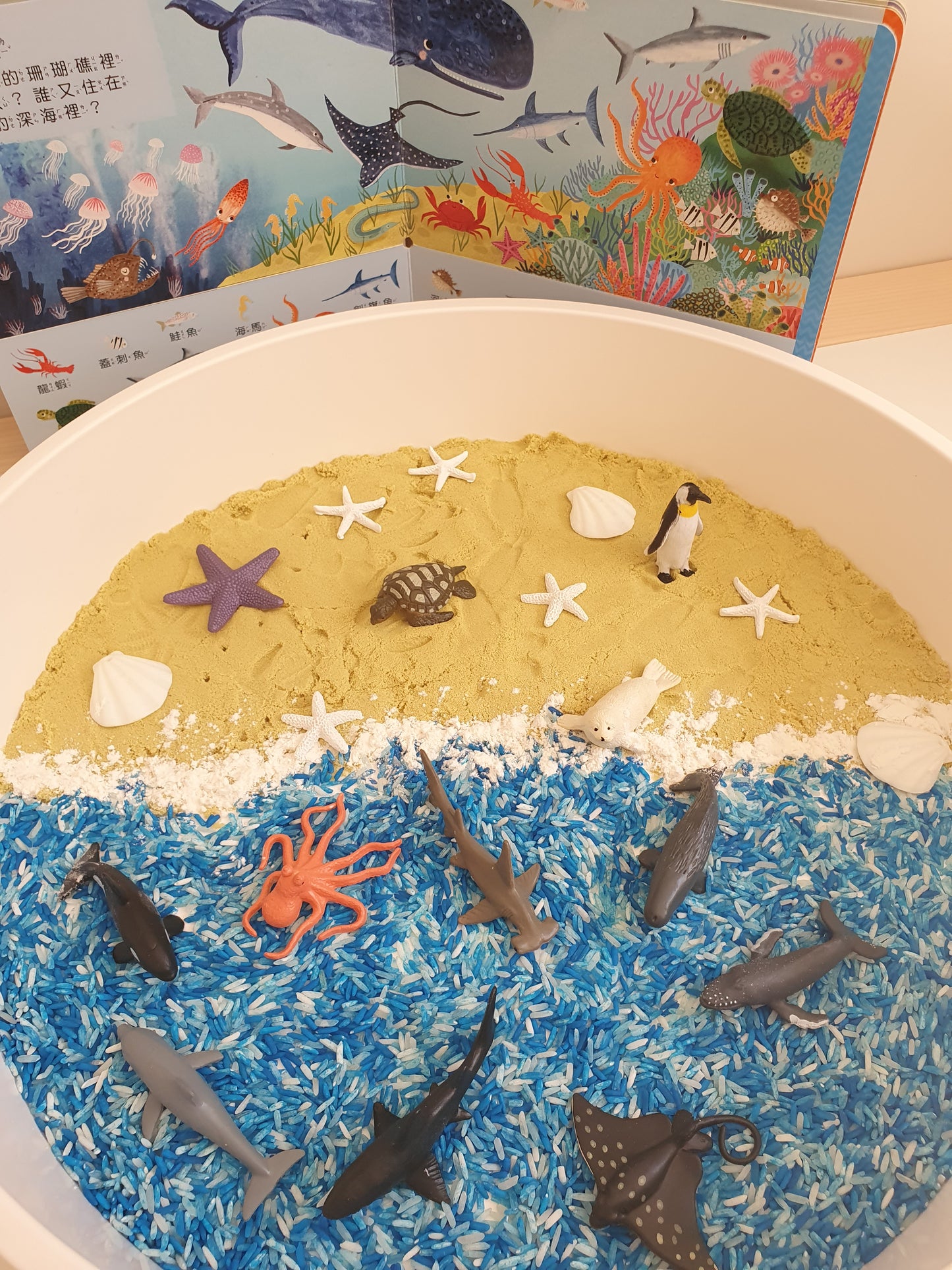 (現貨)Sensory Play Kit