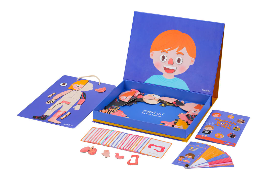 mierEdu All About Series - Magnetic Puzzle