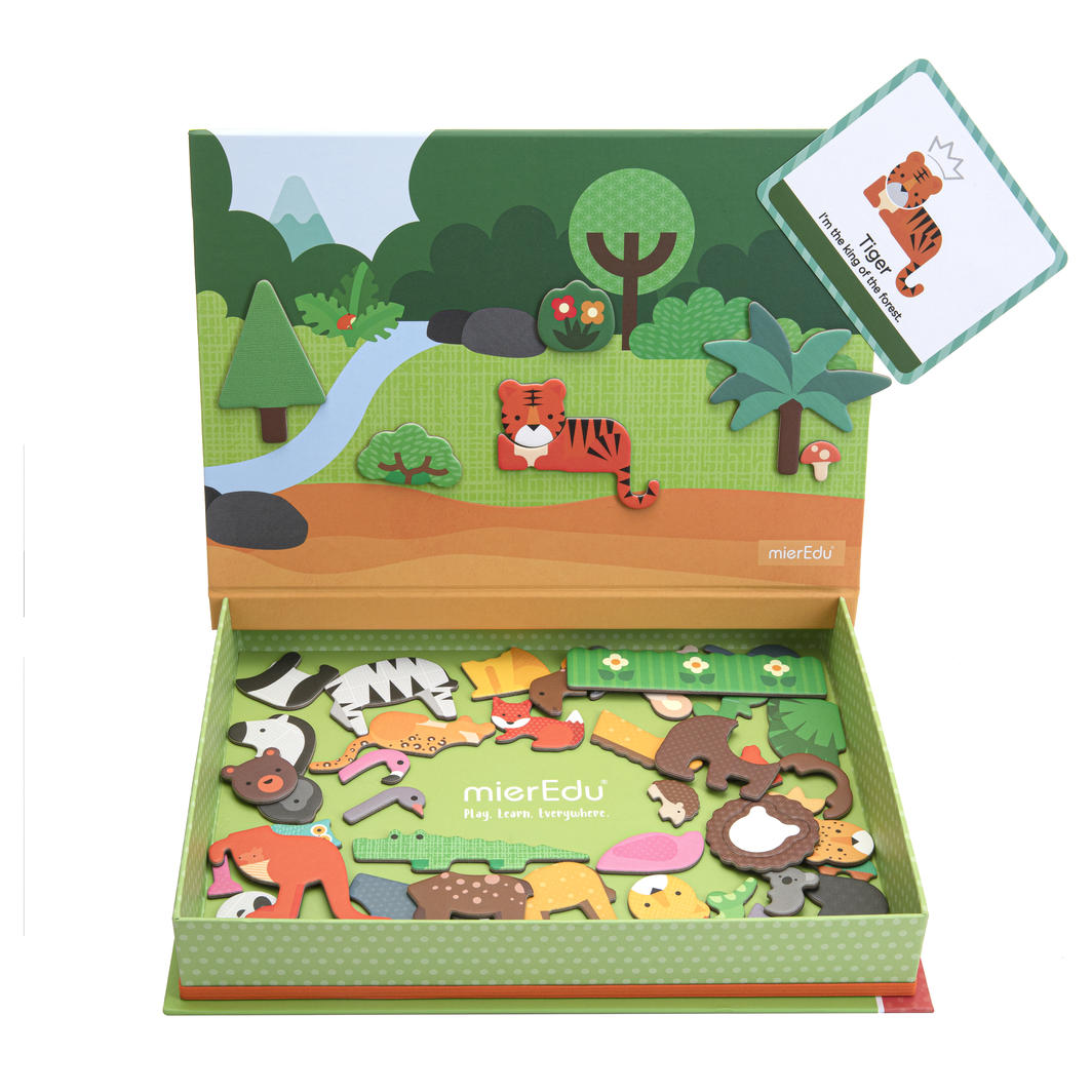 mierEdu Magnetic Art Case