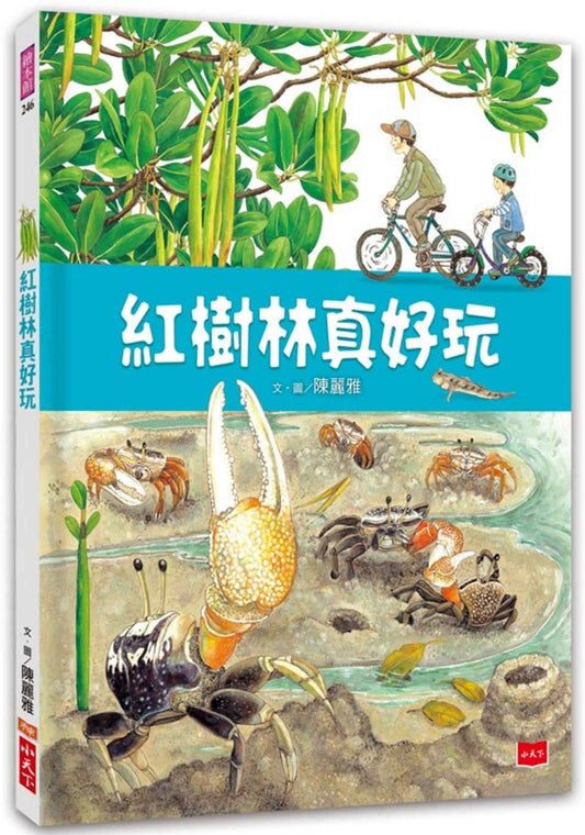 小天下 紅樹林真好玩