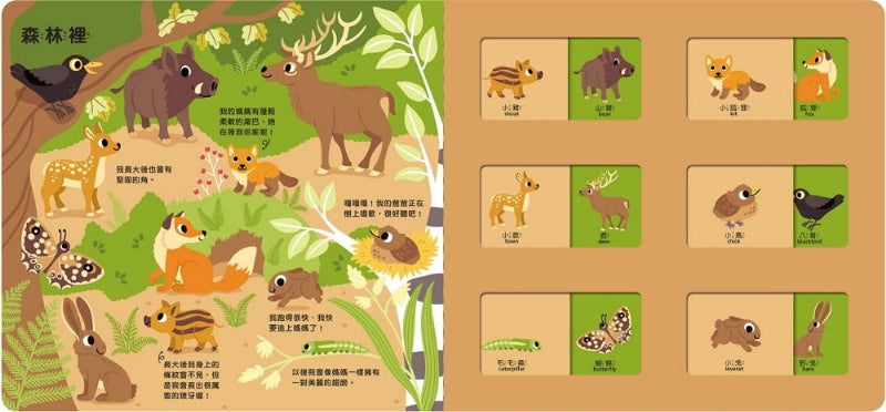 禾流 猜一猜系列-猜一猜我是誰的寶寶