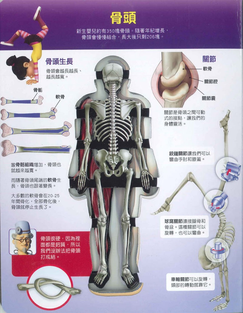 風車 人體知識百科