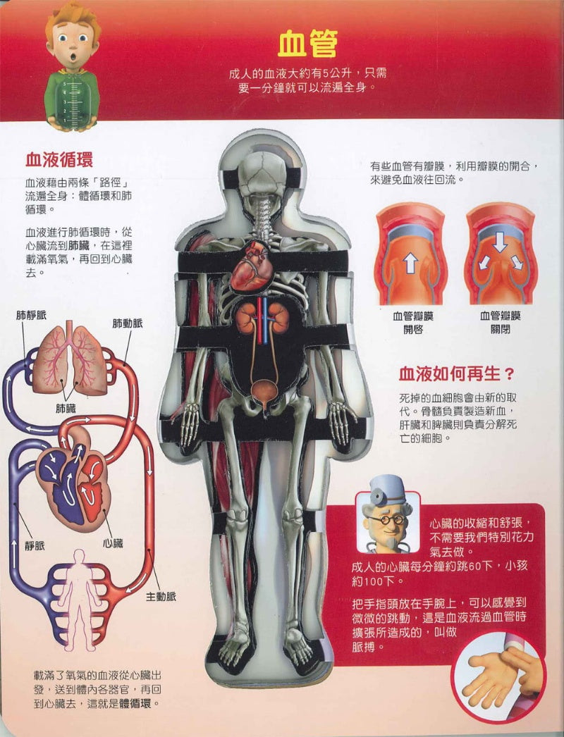 風車 人體知識百科