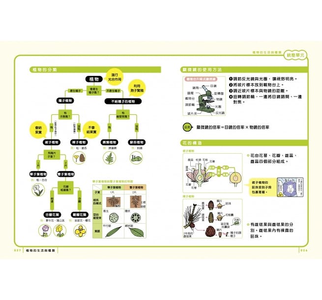 親子天下 最有梗的理科教室：燒杯君與他的理科小夥伴